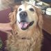 Profile Picture of Cheryl Sciarappa (@cheryl.sciarappa.1) on Facebook