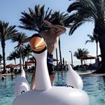 Profile Picture of Brian Macchiarola (@brianmacc34) on Instagram