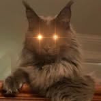 Profile Picture of Kevin McKernan (@x.646526) on Facebook