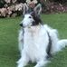Profile Picture of Marilyn Thomas (@marilyn.thomas.5686322) on Facebook