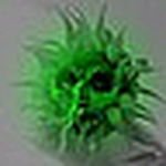 Profile Picture of Albert Fish (@slippie813) on Flickr