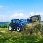 Profile Picture of David Jellen (@davejel_) on Instagram