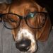 Profile Picture of Ariel Schwab (@musiclover112) on Pinterest