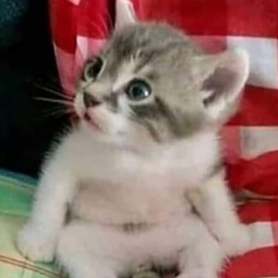 Profile Picture of Ariel Enrique Rangel Rodriguez (@ArielEnriqueRa1) on Twitter