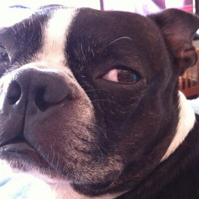 Profile Picture of Derek Nadeau (@seastar830) on Twitter