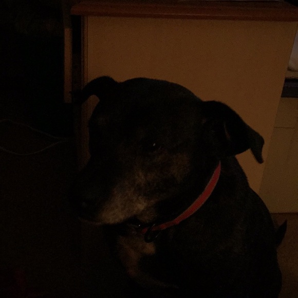 Nancy Pollock - Poshmark Profile Picture of Nancy Pollock (@njcpollock) on Poshmark