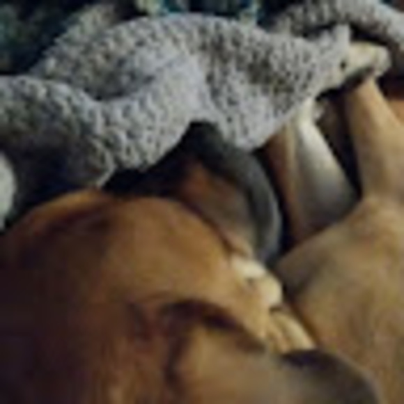 Profile Picture of Jess Roesener (@jessroesener) on Poshmark