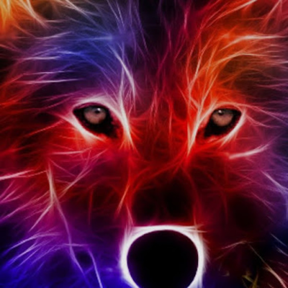 Profile Picture of Cole Debuck (@cdebuck0) on Poshmark