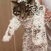 Profile Picture of William Fischer (@williamfischer9188) on Youtube