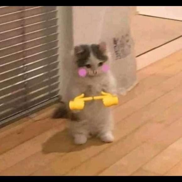 Profile Picture of Duy Khanh (@doankhanh0312) on Poshmark