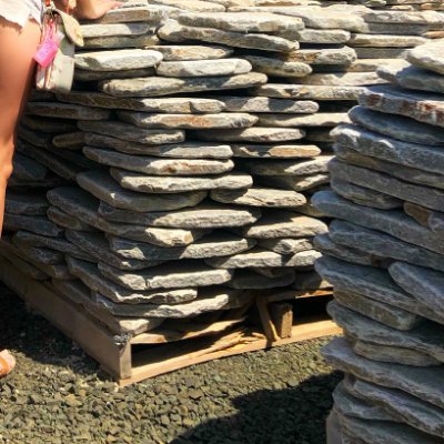 Profile Picture of Janet Sweeney (@JanetSw88904766) on Twitter