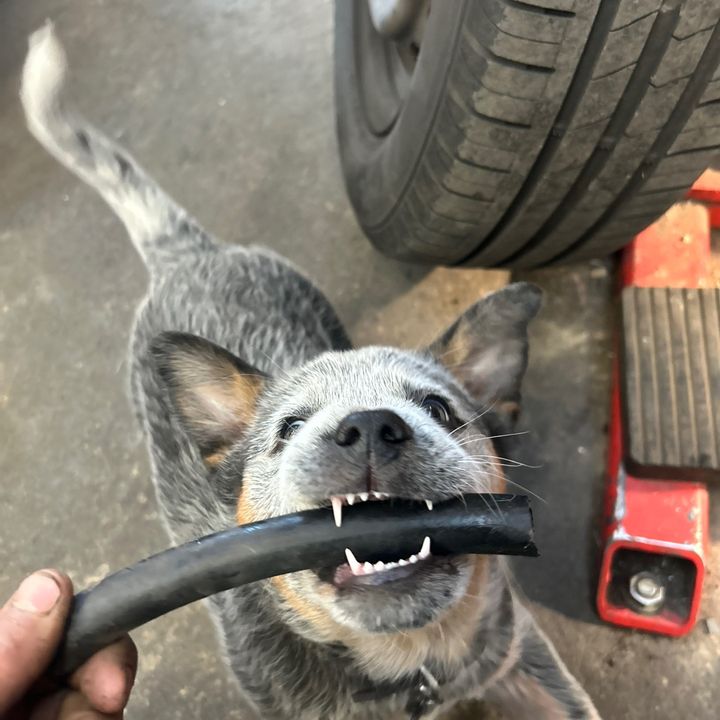 Profile Picture of Steve (@steve.gray) on Tiktok