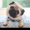 Profile Picture of Ginger Sanford (@@gingersanford) on Tiktok