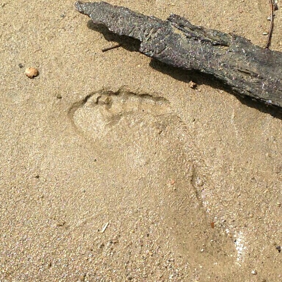 Profile Picture of Georjeanna Alcorn (@georjeanna) on Poshmark