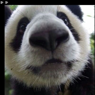 Profile Picture of Stephen Khang (@NewYenZ) on Twitter