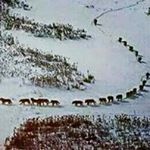 Profile Picture of Antonio Fuschetto (@antoniofuschetto) on Instagram