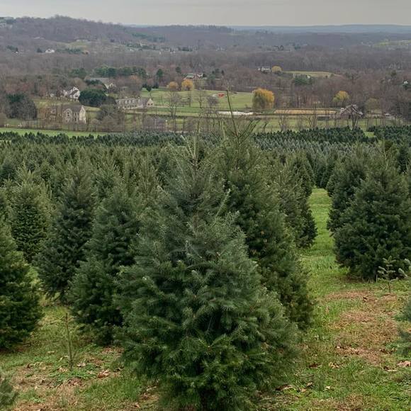 Tosha Kelly - Poshmark Profile Picture of Tosha Kelly (@etckelly) on Poshmark