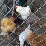 Profile Picture of Matt Boyette (@matthewboyette) on Instagram