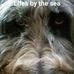 Profile Picture of Keith Patrick (@keith.patrick.501) on Facebook
