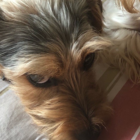 Profile Picture of Maria Silva (@mariasilva312) on Poshmark