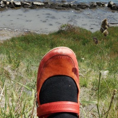 Profile Picture of Lucy Corrander (@LucyCorrander) on Twitter