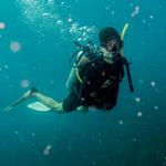 Profile Picture of Max Sheppard (@_shepsi) on Instagram