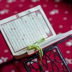 Profile Picture of mohammad Jeffrey (@jeffreymohammed536) on Instagram