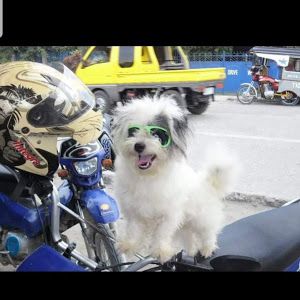 Profile Picture of gary mantilla (@botskie29) on Tiktok