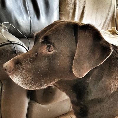 Profile Picture of Daniel Addis (@danny_addis) on Twitter