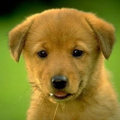 Profile Picture of Marek (@Mark4ryba) on Twitter