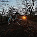 Profile Picture of Lori Small (@lorismallhm) on Instagram