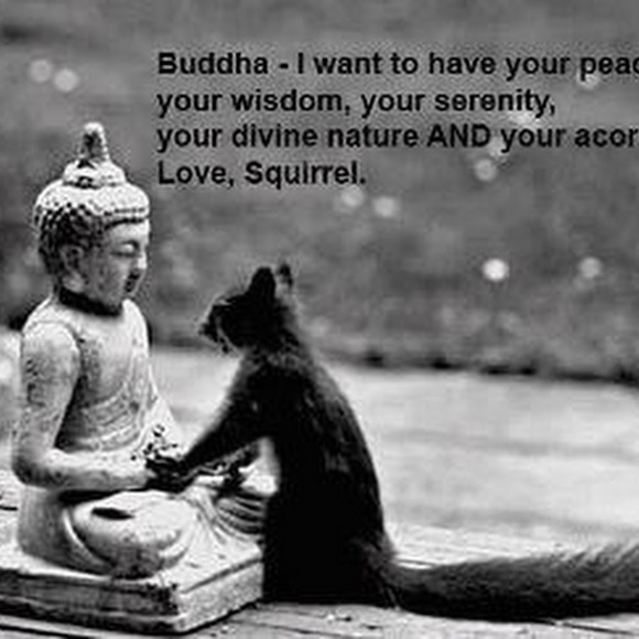 Profile Picture of L Falatovich (@lmpetiva) on Poshmark