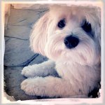 Profile Picture of joyce chadwick (@jchadwickphoto) on Instagram