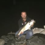 Profile Picture of Michael Birkeland (@Michael-Birkeland) on Facebook