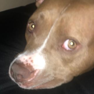 Profile Picture of Jason Hick (@jason.hick.104) on Facebook