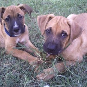 Profile Picture of Michelle Covey (@reaofthecoos) on Myspace