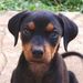 Profile Picture of Peter Labrecque (@labrecque0315) on Pinterest