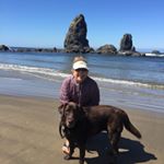 Kim Rosner - Instagram Profile Picture of Kim Rosner (@kim.rosner) on Instagram