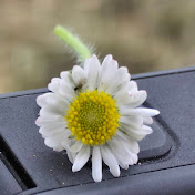 Profile Picture of Kealy Elderton Photography (@KEPhotography) on Youtube