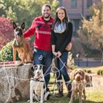 Profile Picture of Alex Andes Sessa (@alex_andes_sessa) on Instagram