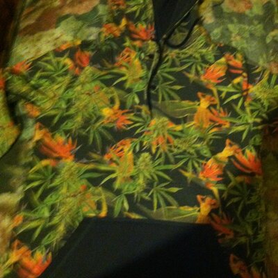 Profile Picture of Josh Chapple Jr (@chapple_jr) on Twitter