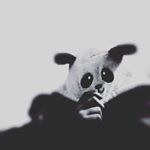 Profile Picture of bryan le normand (@bryou_houiller) on Instagram