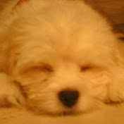 Profile Picture of Eric Bae (@ericbae8256) on Youtube