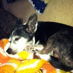 Profile Picture of Claudine Miles-Viveiros (@claudinev71) on Instagram