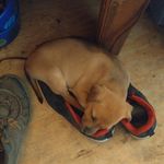 Profile Picture of Loretta Lynn Burnett (@love_11_loretta) on Instagram