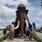 Profile Picture of Alex Rosero (@alex_rosero1) on Instagram