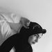 Profile Picture of elda avdyli (@eldaavdyli) on Pinterest
