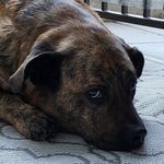 Profile Picture of Susan E. McRobie Roberts (@tippett312) on Instagram