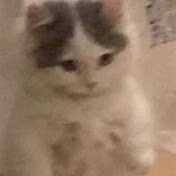 Profile Picture of Joshua Tobar (@JoshuaTobar-fn3lx) on Youtube