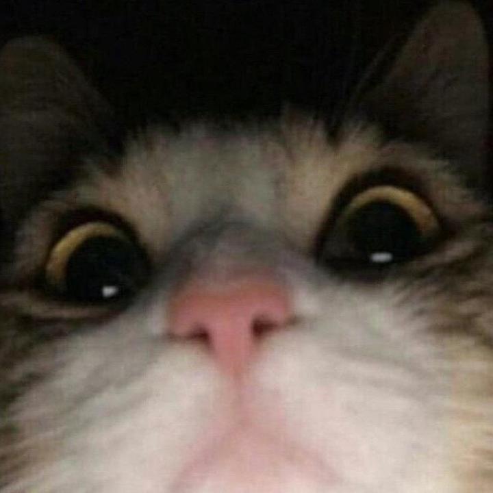 Profile Picture of ScottMCS (@scottmcs) on Tiktok